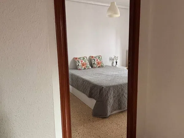 Piso en Plaza Poeta Badenes, 2, Na Rovella - Foto 8