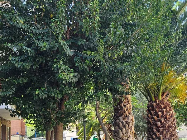 Piso en San Nicasio, San Nicasio - Foto 18