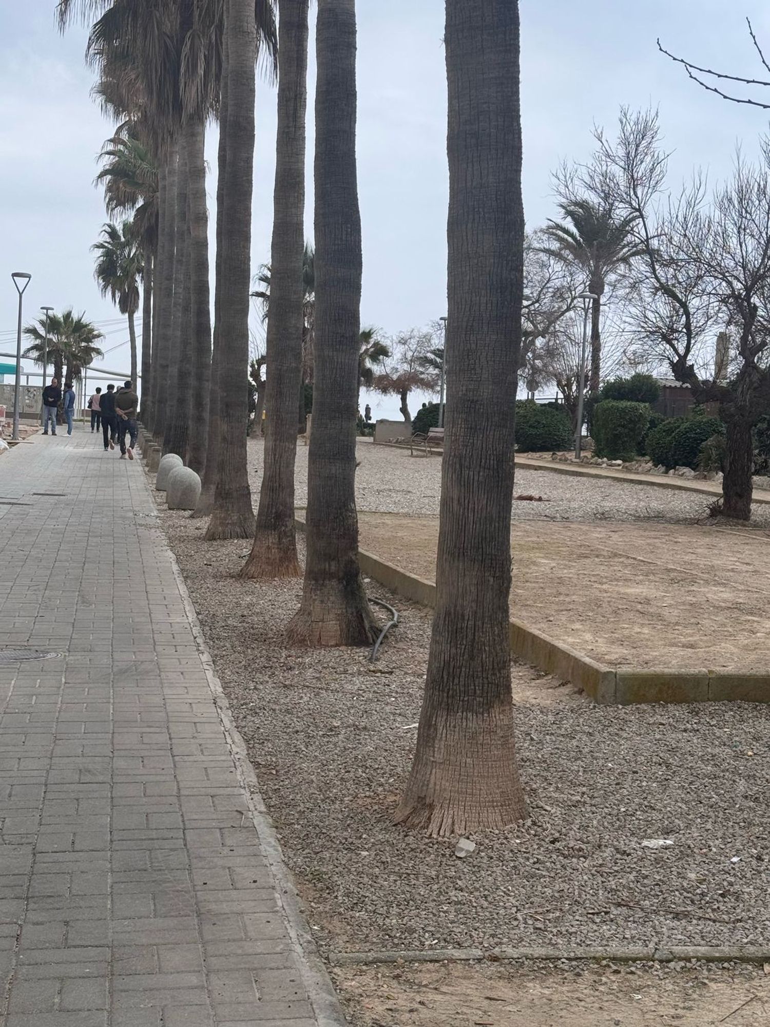 Chalet pareado en Calle de la Perla, 6, Ses Cadenes-Arenal - Foto 12