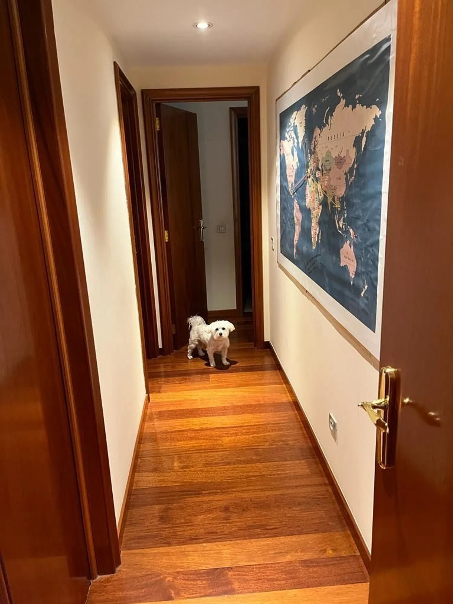 Piso en calle guisando 50, 1 D - Foto 37