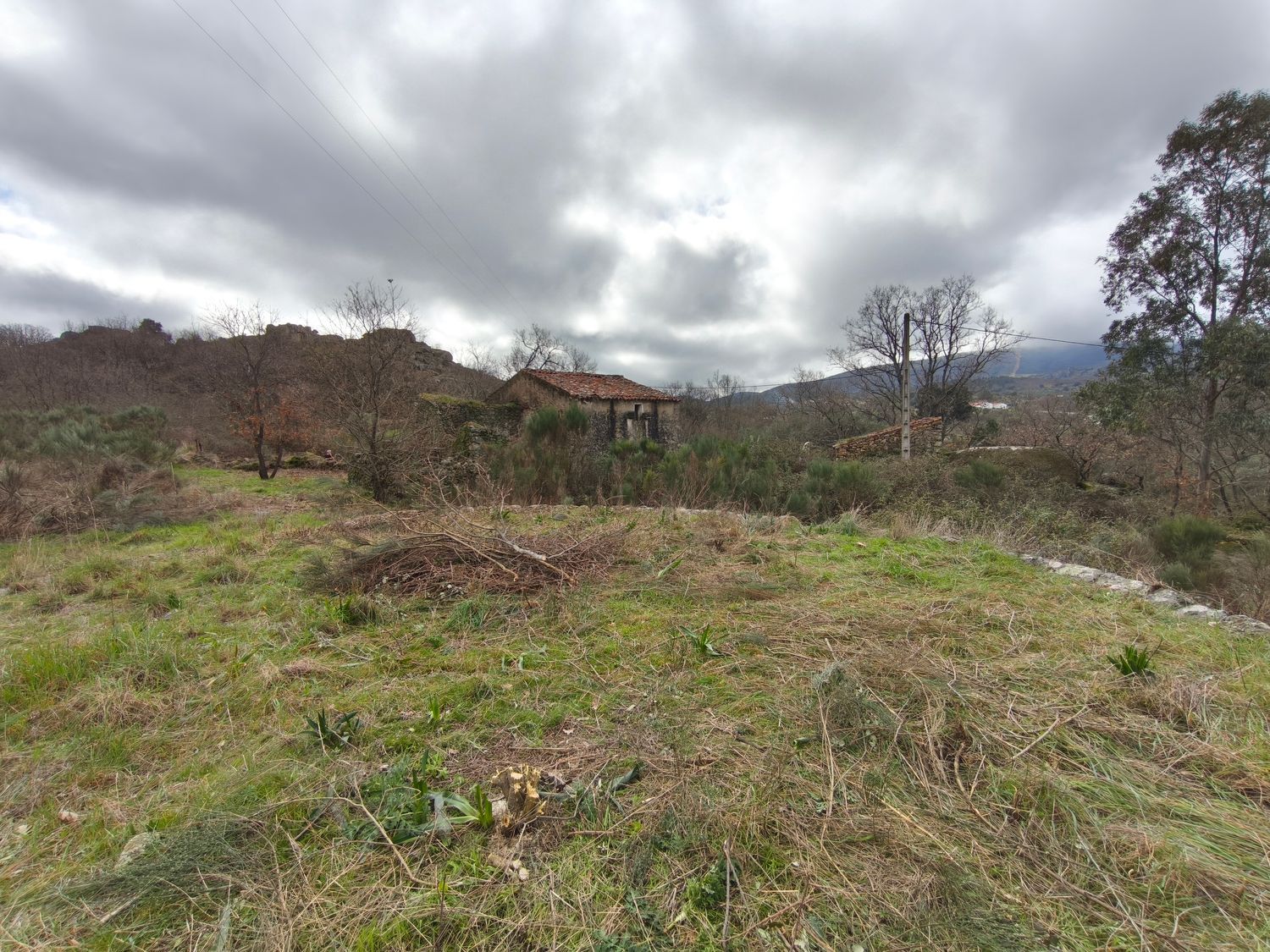 Finca rústica en Poblado los Arroyos de Abajo, 39 poligonoparcela - Foto 24