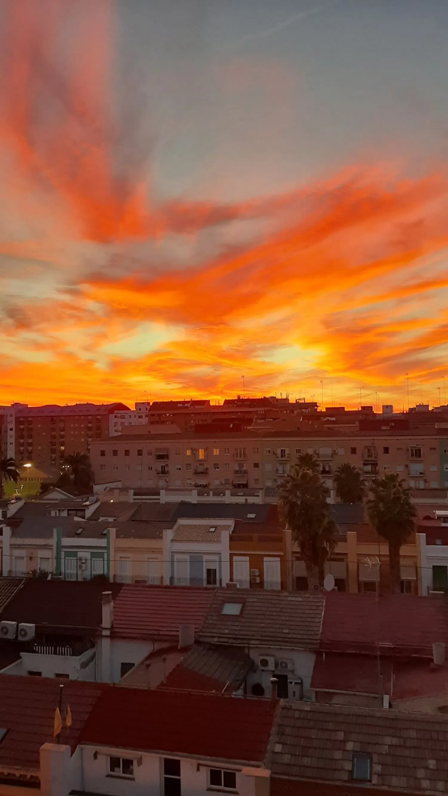 Ático en calle lo Rat Penat, 9 - Foto 10