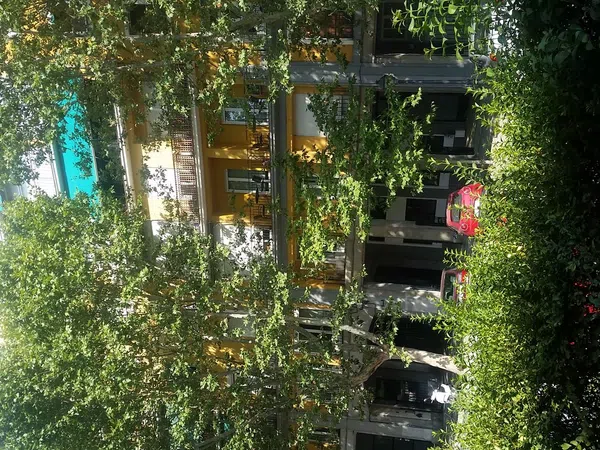 Alquiler de piso en Calle de la Anunciación, 6