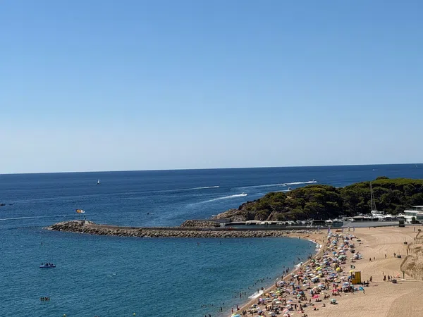 Piso en Paseo Marítim, 166, Platja Llarga - Foto 1