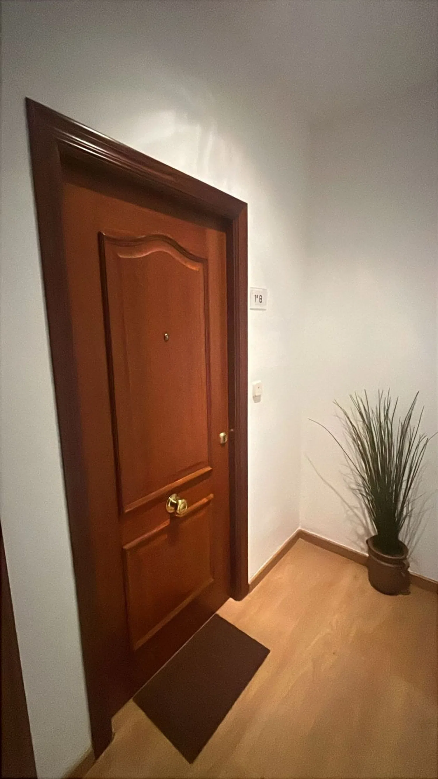 Estudio en calle Eduardo Cano, 6 - Foto 1