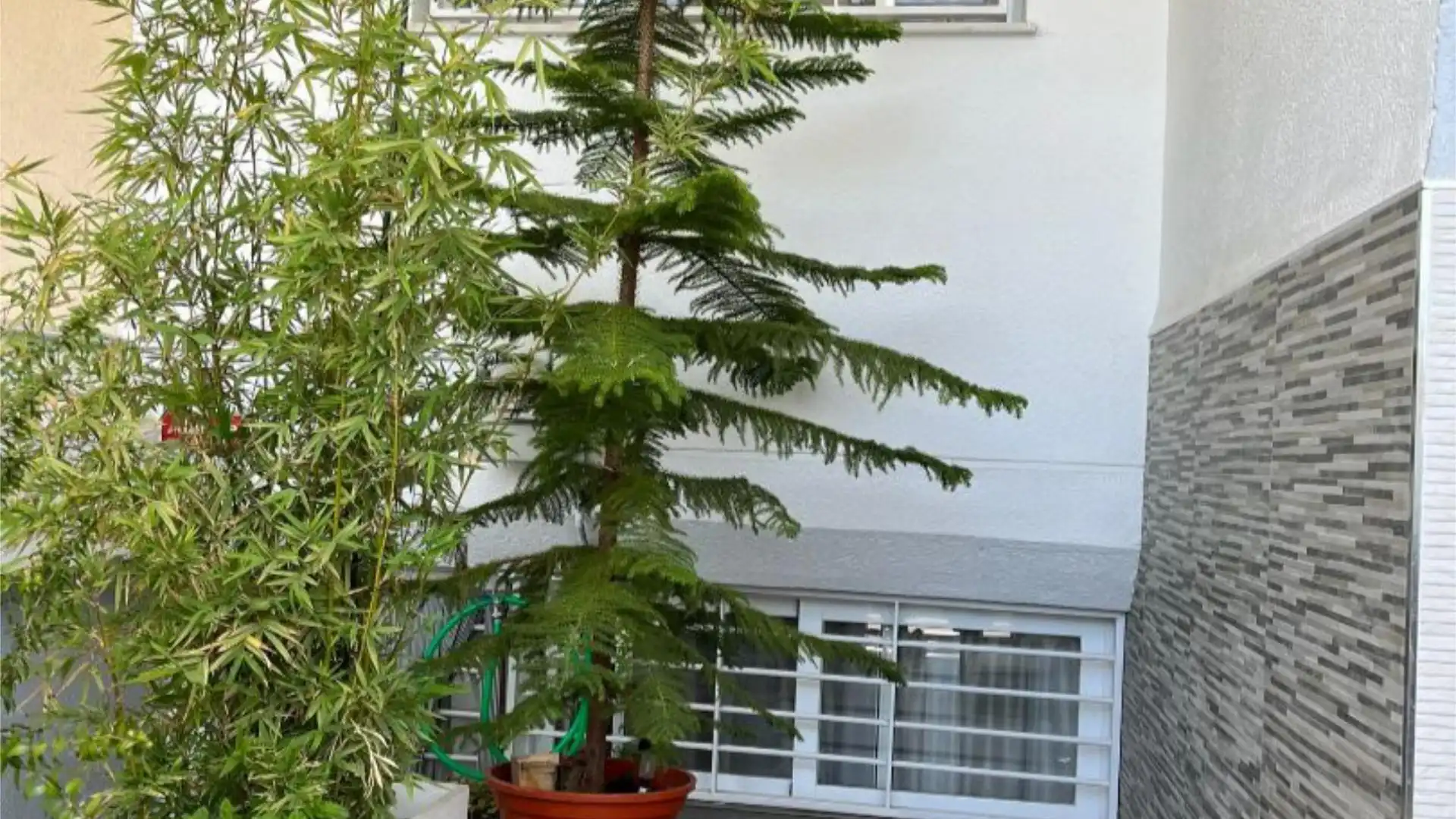 Casa adosada en  Calle Ávila 13 - Foto 15