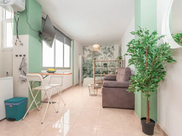 Estudio en calle Prudencio Morales, 33 - Foto 4