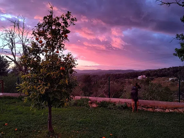 Finca rústica en Diseminado Sa Barda, 60, Sant Rafel de sa Creu, Sant Rafel de sa Creu - Foto 11
