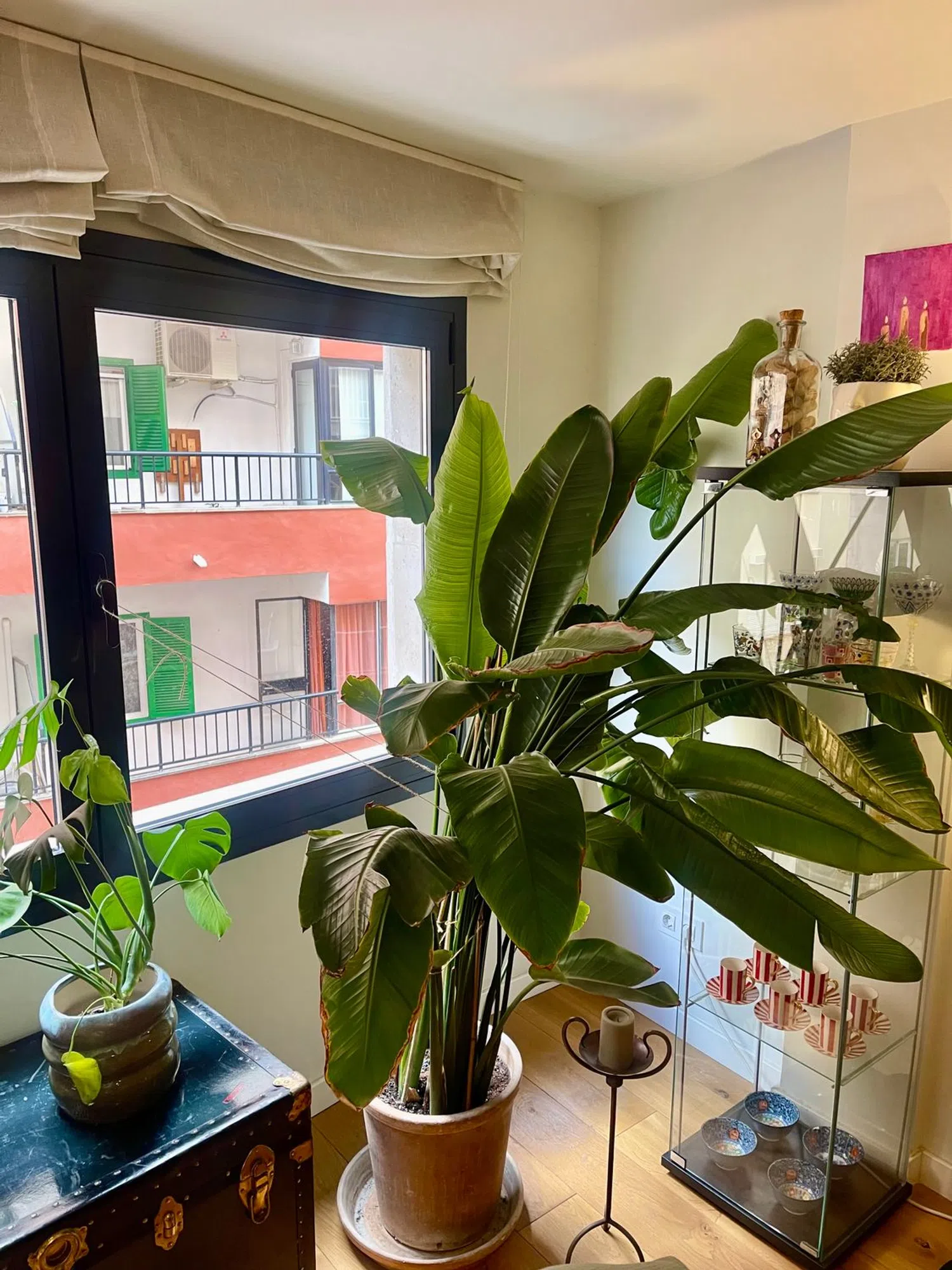 Piso en calle d'Andreu Feliu, 24 - Foto 5