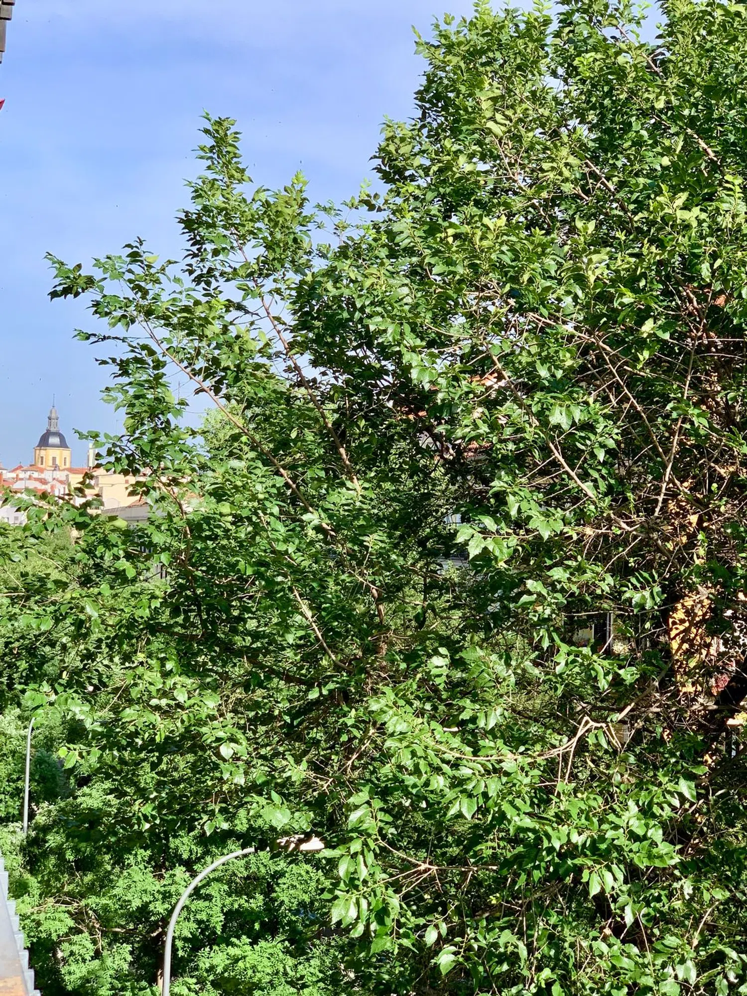 Piso en calle de Argumosa, 24 - Foto 37