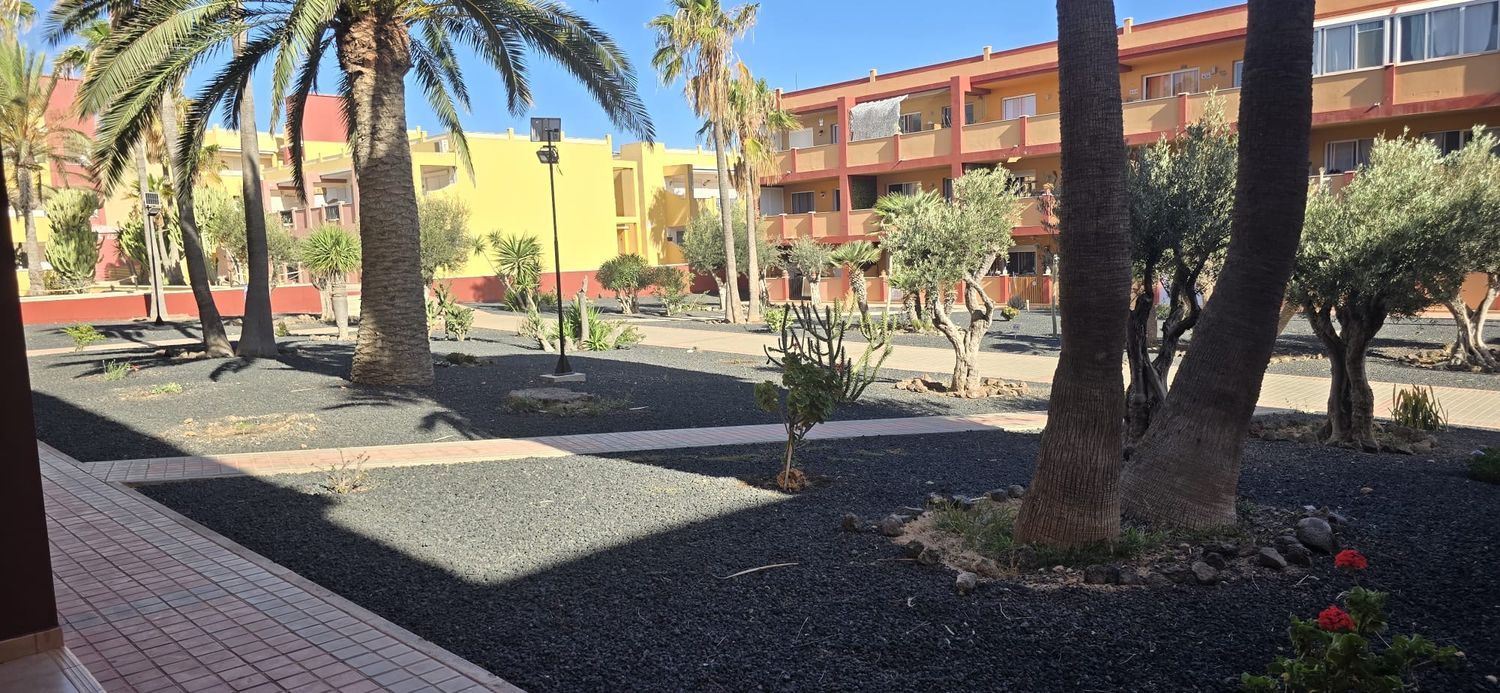 Piso en Calle los Pedruscos, 1, Parque Holandés, Parque Holandés - Foto 17