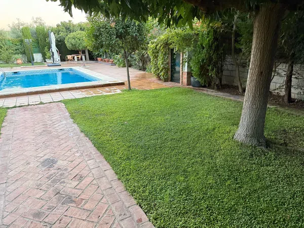 Casa o chalet independiente en Calle del Molino, 2 - Foto 37