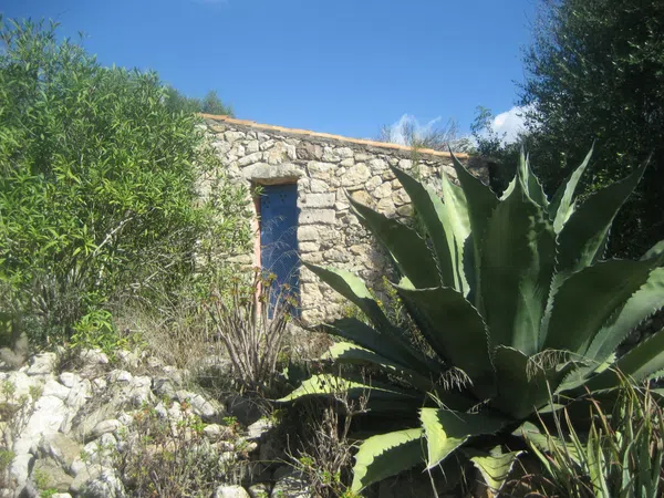 Finca rústica en Carretera Montuïri - Lloret s/n - Foto 33