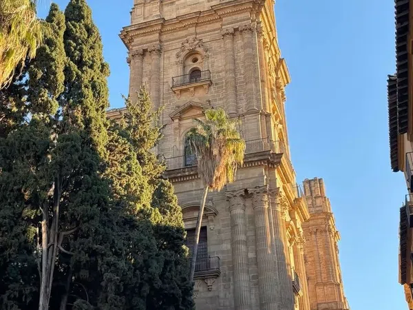 Estudio en Carrera de Capuchinos, 86, El Ejido - Foto 21