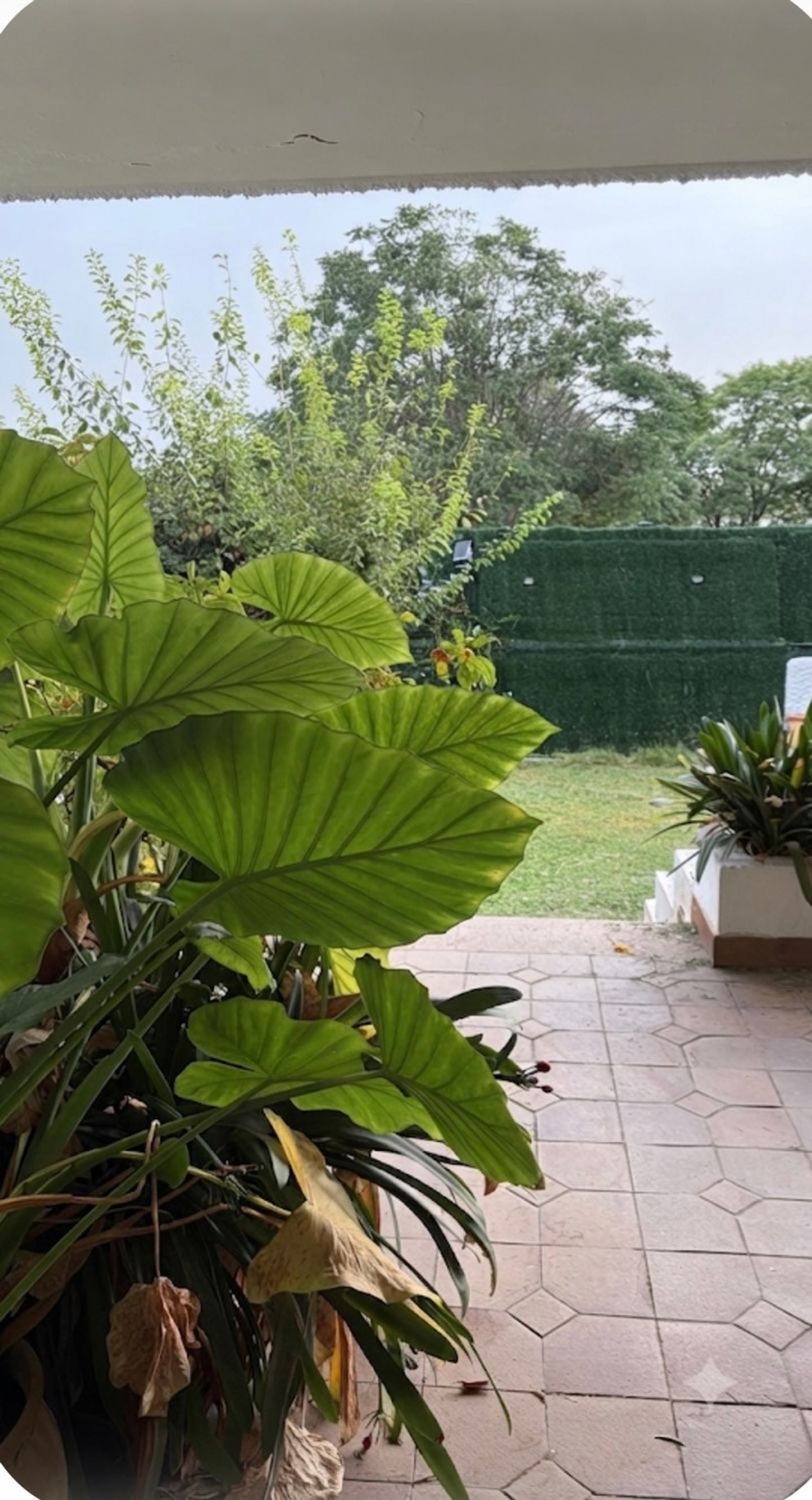 Casa o chalet independiente en Urbanización Santa Catalina, 34, Zona Fuentemora, Zona Fuentemora - Foto 4
