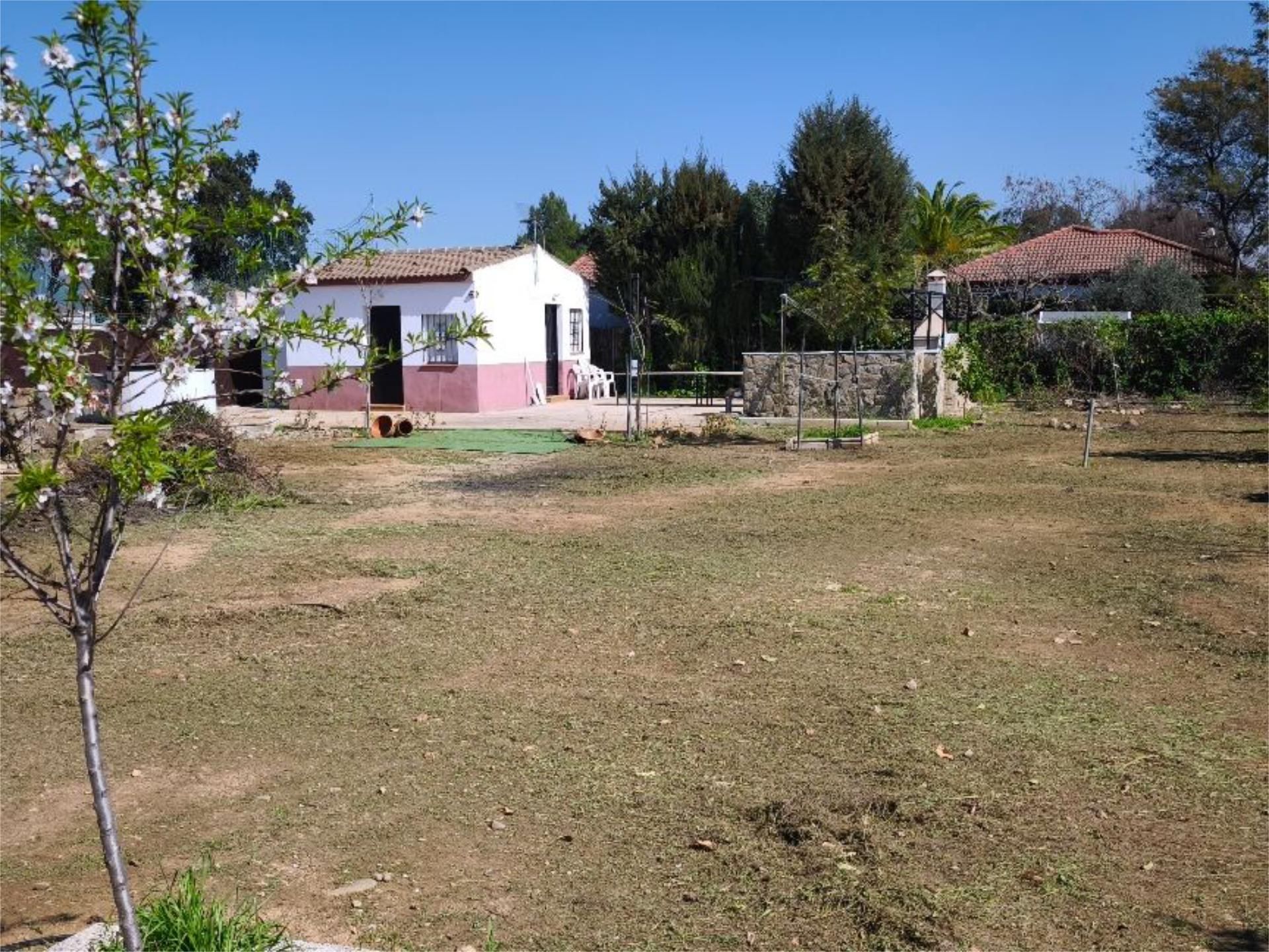 Chalet en  Calle Córdoba 1 - Foto 14