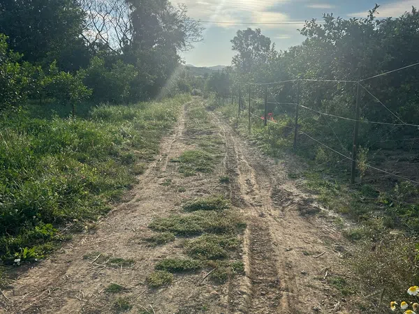 Finca rústica en Diseminado Poligono, 38 - Foto 32
