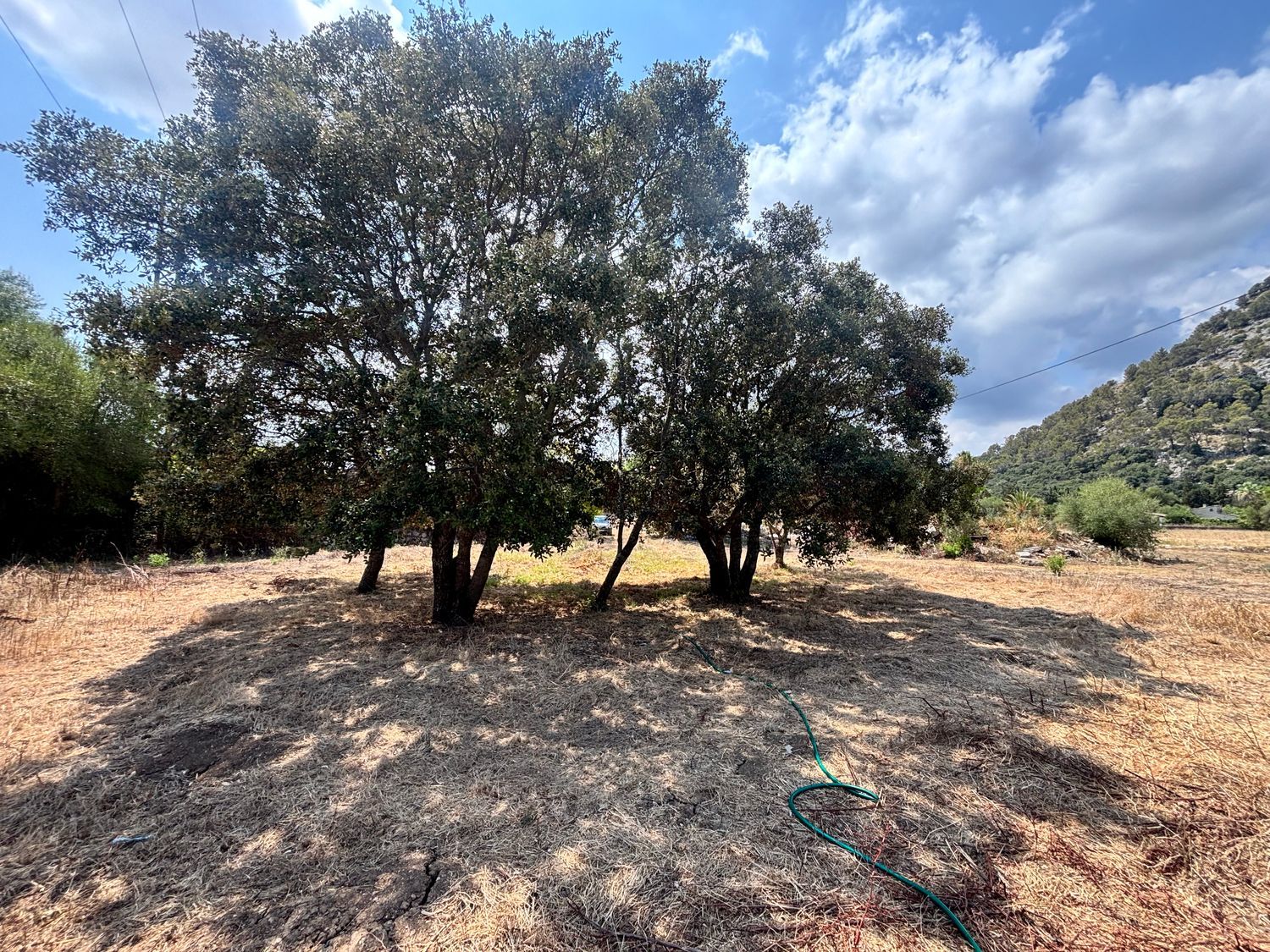 Finca rústica en Santuiri, 2 poligonoparcela, Pollença, Pollença - Foto 10