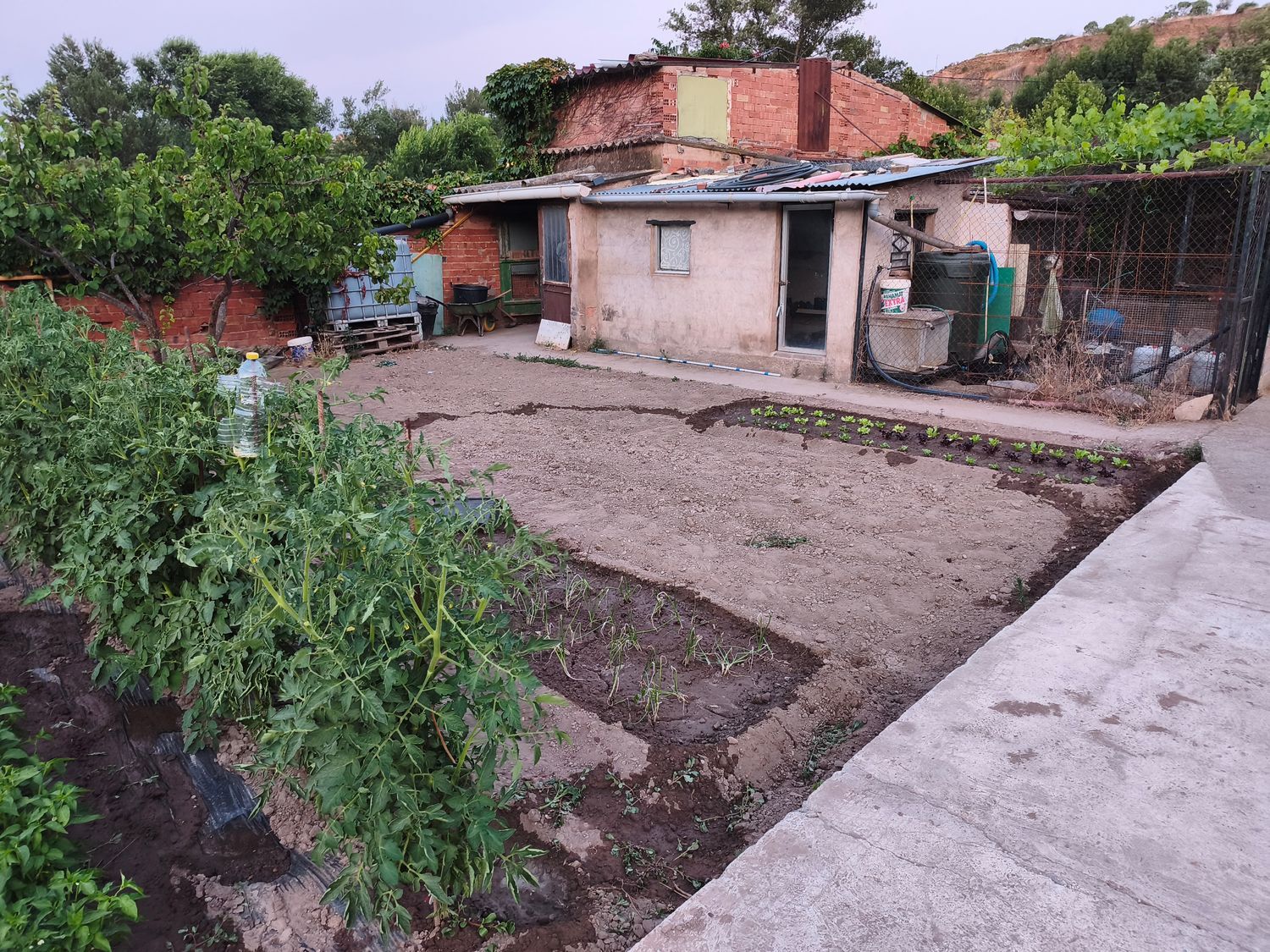 Finca rústica en Avenida Deportiva s/n - Foto 3