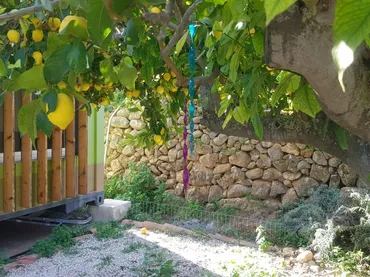 Finca rústica en - Foto 21