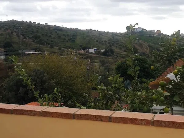 Chalet pareado en Calle Remo, 4, Fuente Alegre - El Chaparral - Los Morales - Foto 14