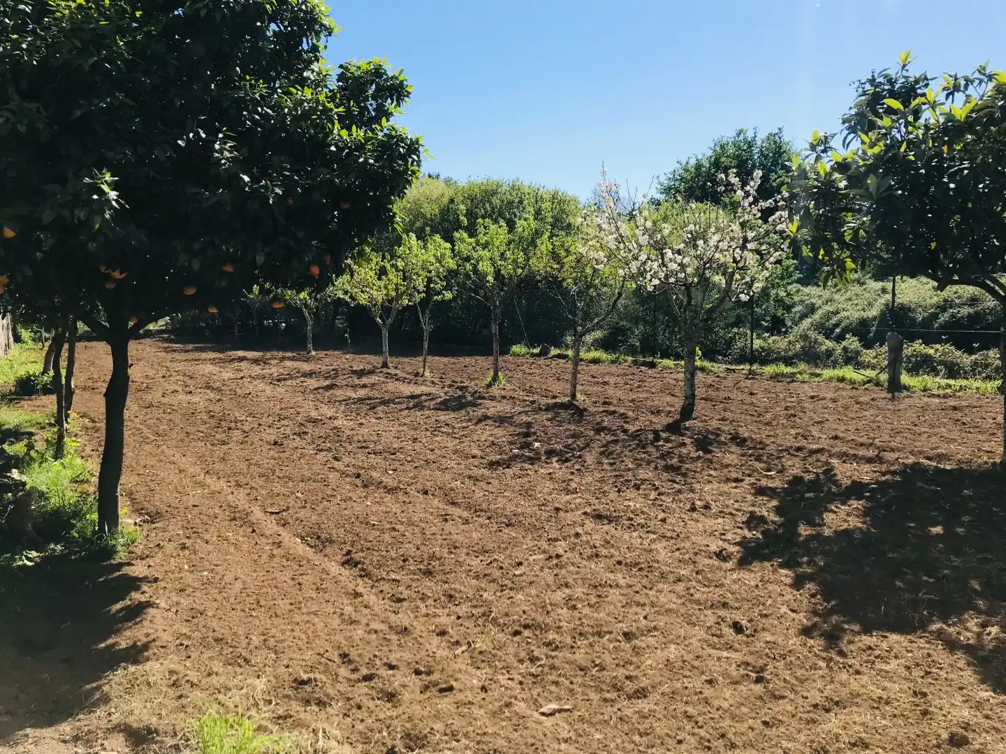 Terreno Residencial en  Estrada Rebordáns 2 - Foto 4