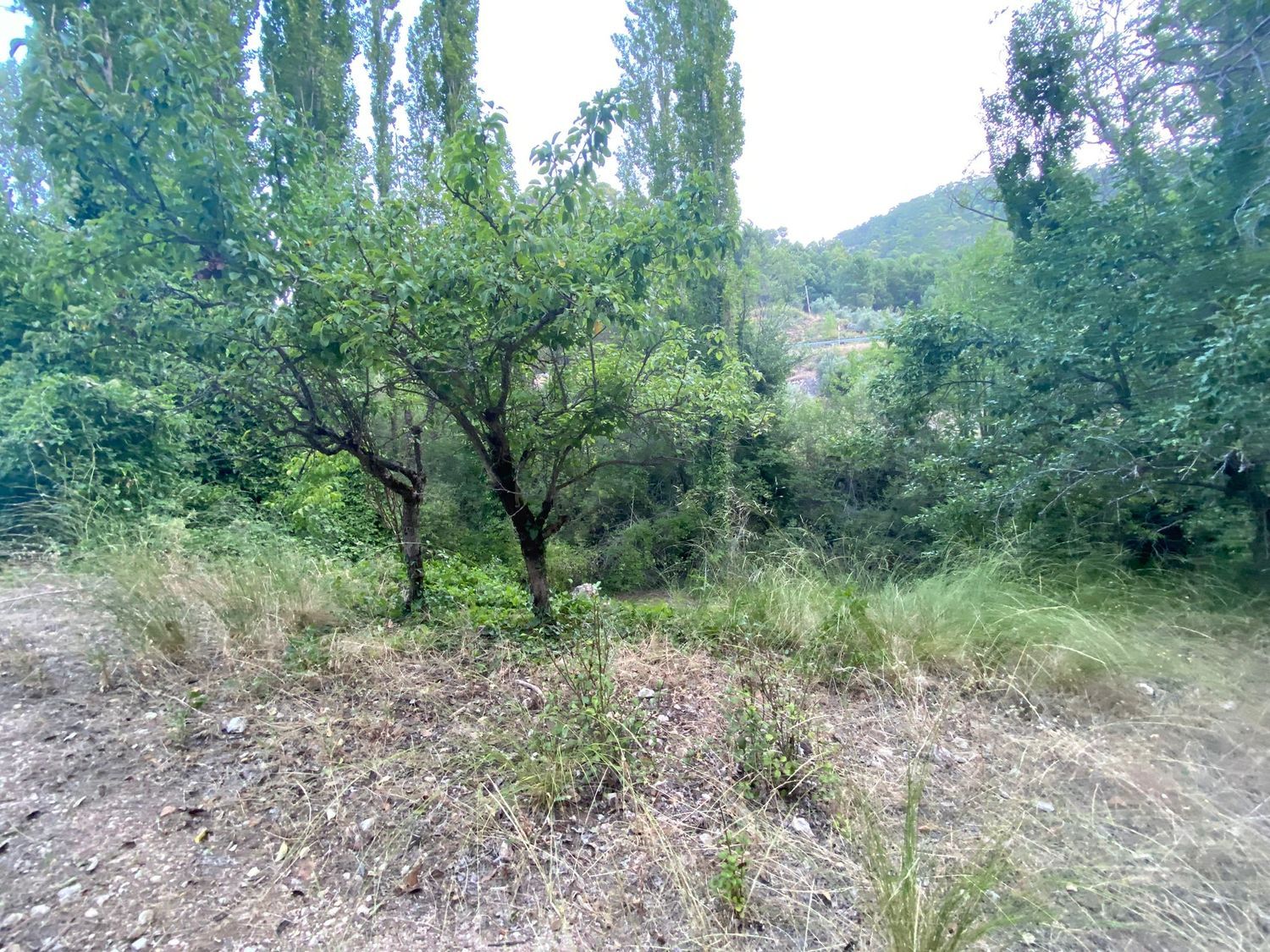 Finca rústica en Sn s/n - Foto 25
