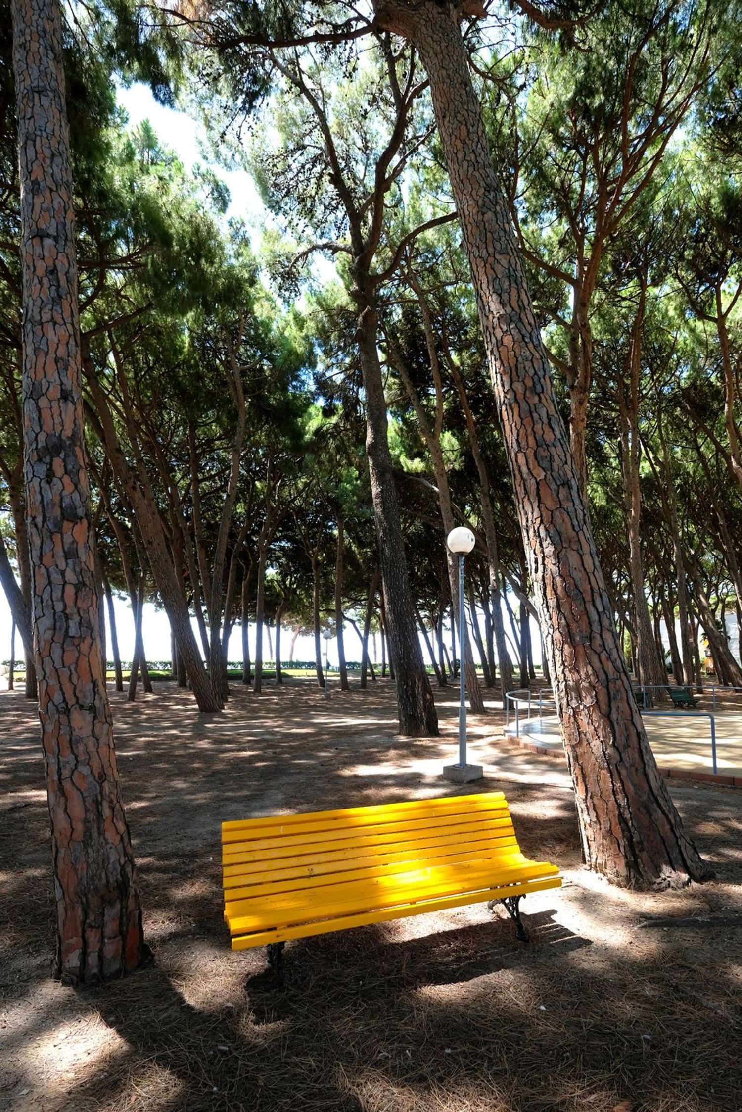 Piso en Avenida de la Diputació, 78, Vilafortuny platja - Foto 16