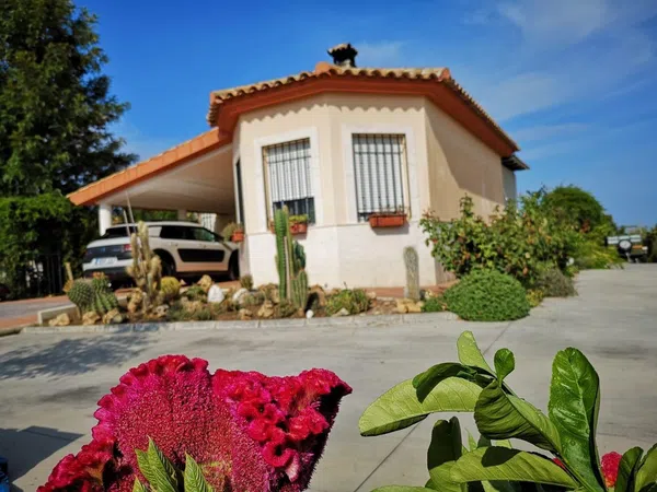 Casa o chalet independiente en Urb. Lomas del Rey, 1 - Foto 2