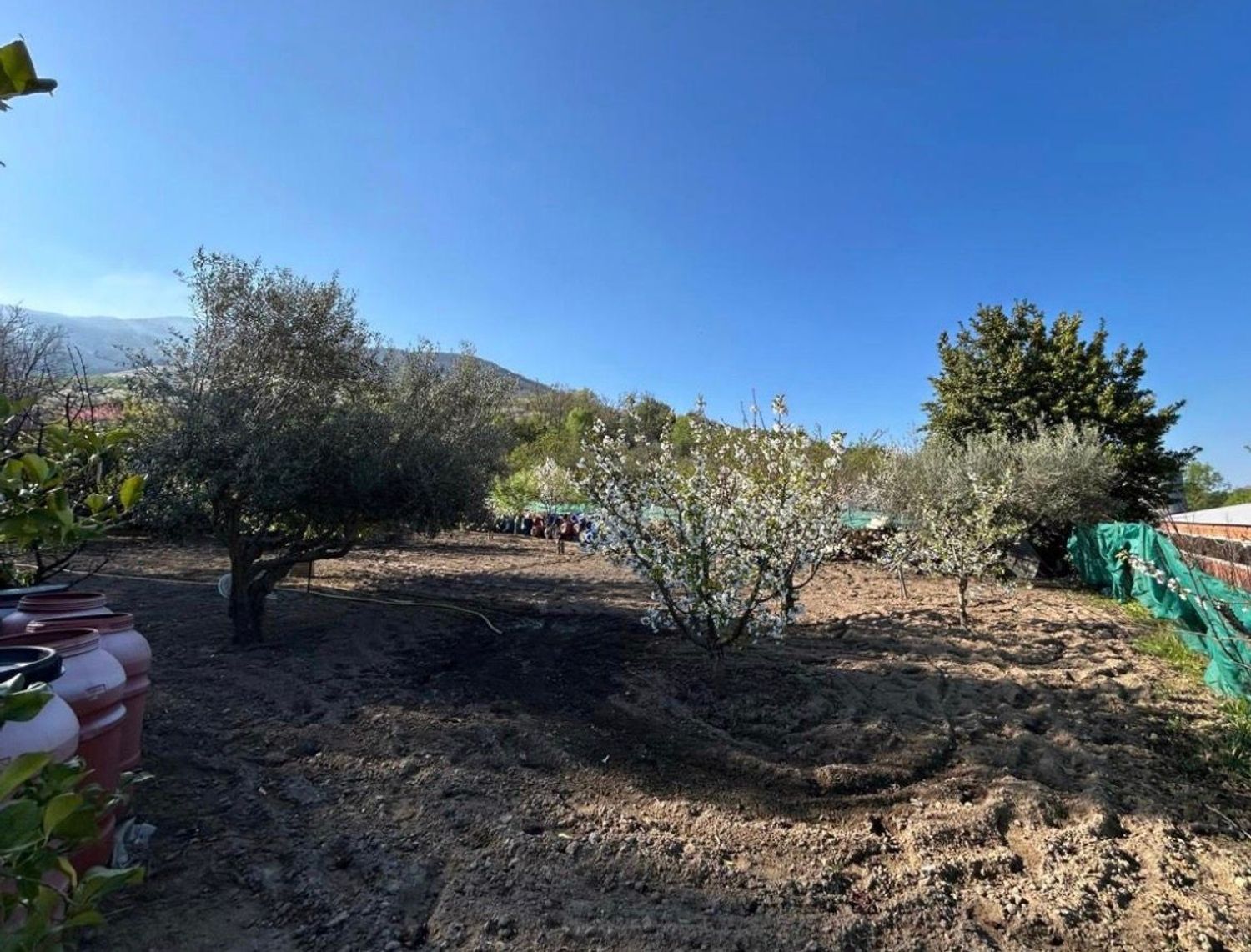 Finca rústica en Carretera Soria - Plasencia s/n - Foto 5