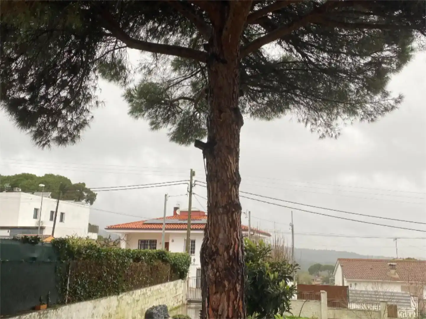 Piso en  Carrer d'Arenys de Mar 27 - Foto 2