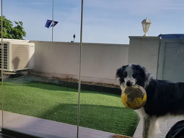 Piso en paseo Marítim de les Botigues, 5 - Foto 6