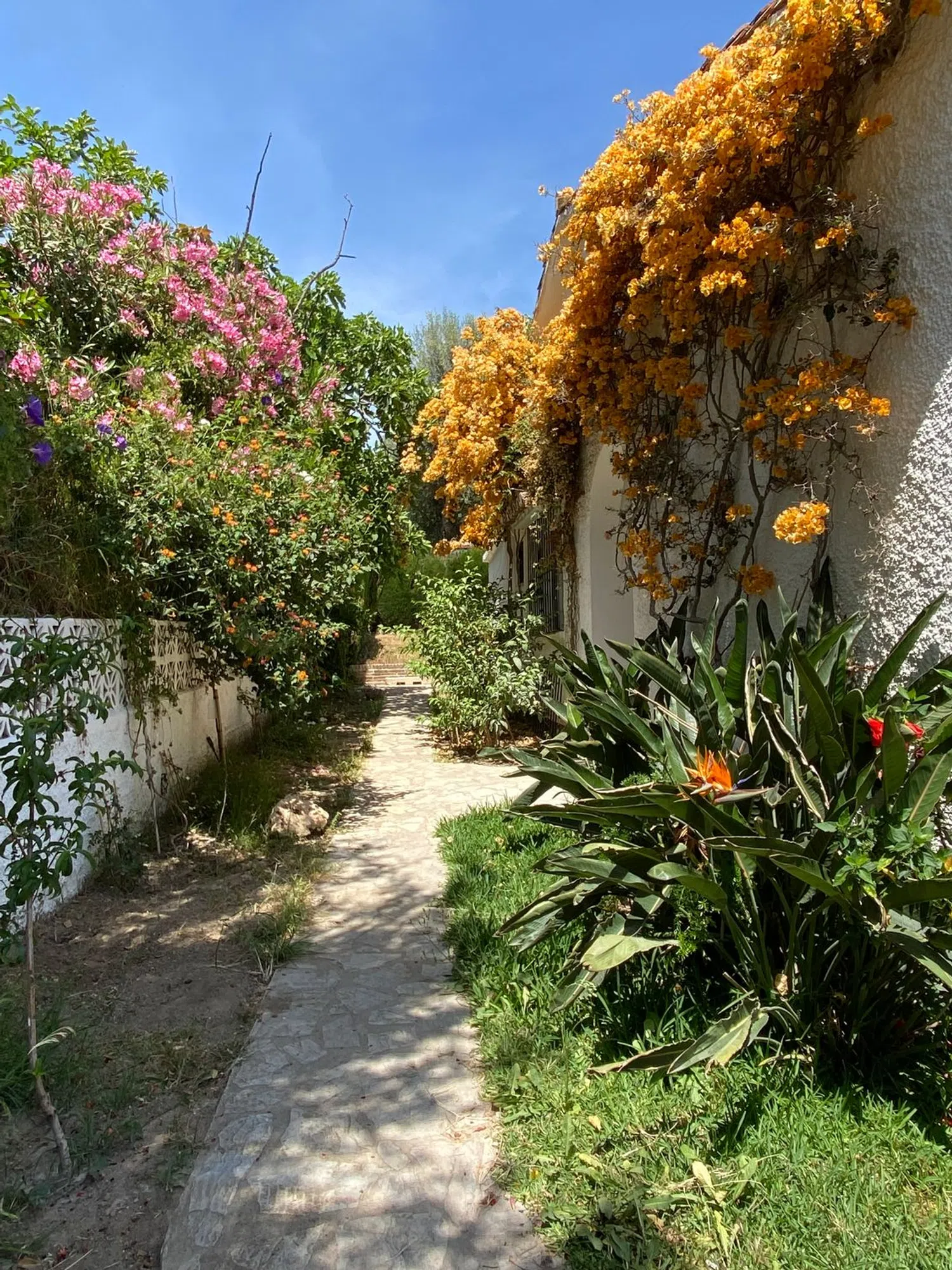 Casa independiente en calle Geranios, 60 - Foto 1