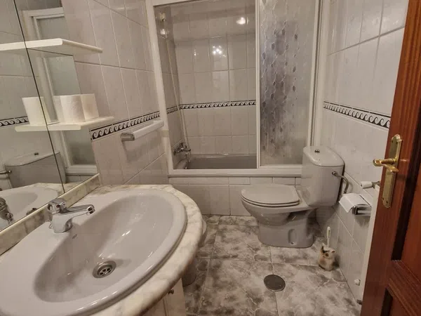 Piso en Calle Fernando Villaamil, 4, Teatinos-Los Prados - Foto 10