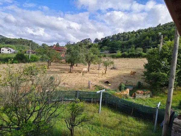 Casa rural en Aldea Onon, 8, Selorio - Tornón, Selorio - Tornón - Foto 6