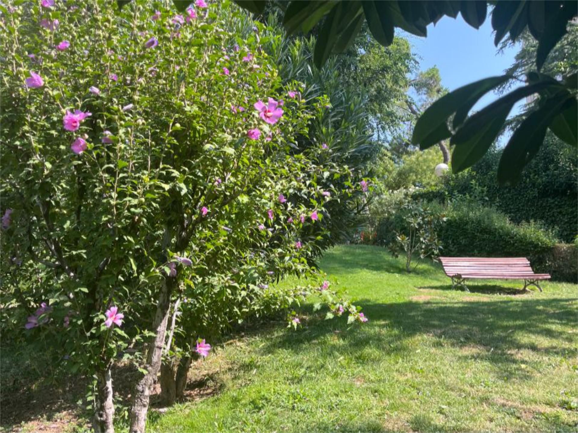 Piso en  Avenida de San Luis 93 - Foto 17