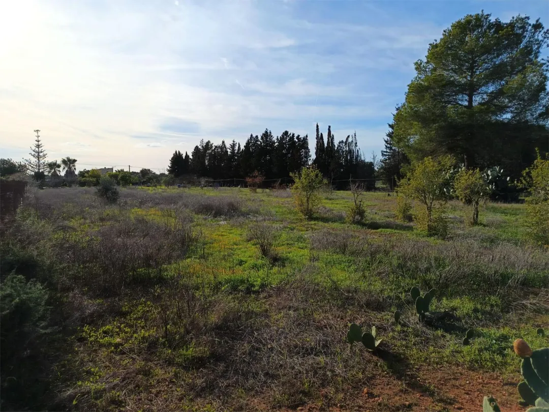 Finca rústica en  Camí Vell de Cala Pi 41 - Foto 4