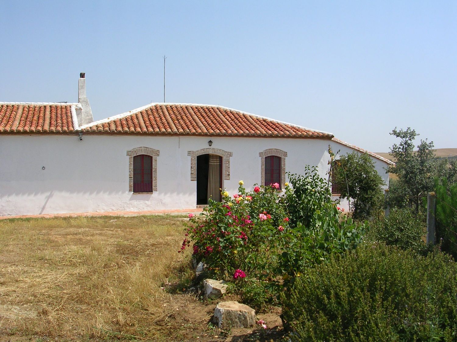 Casa o chalet independiente en Camino Curtidas, 2 - Foto 5