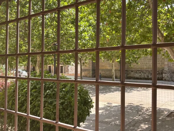 Casa rural en Plaza de Cervantes, 3 - Foto 6