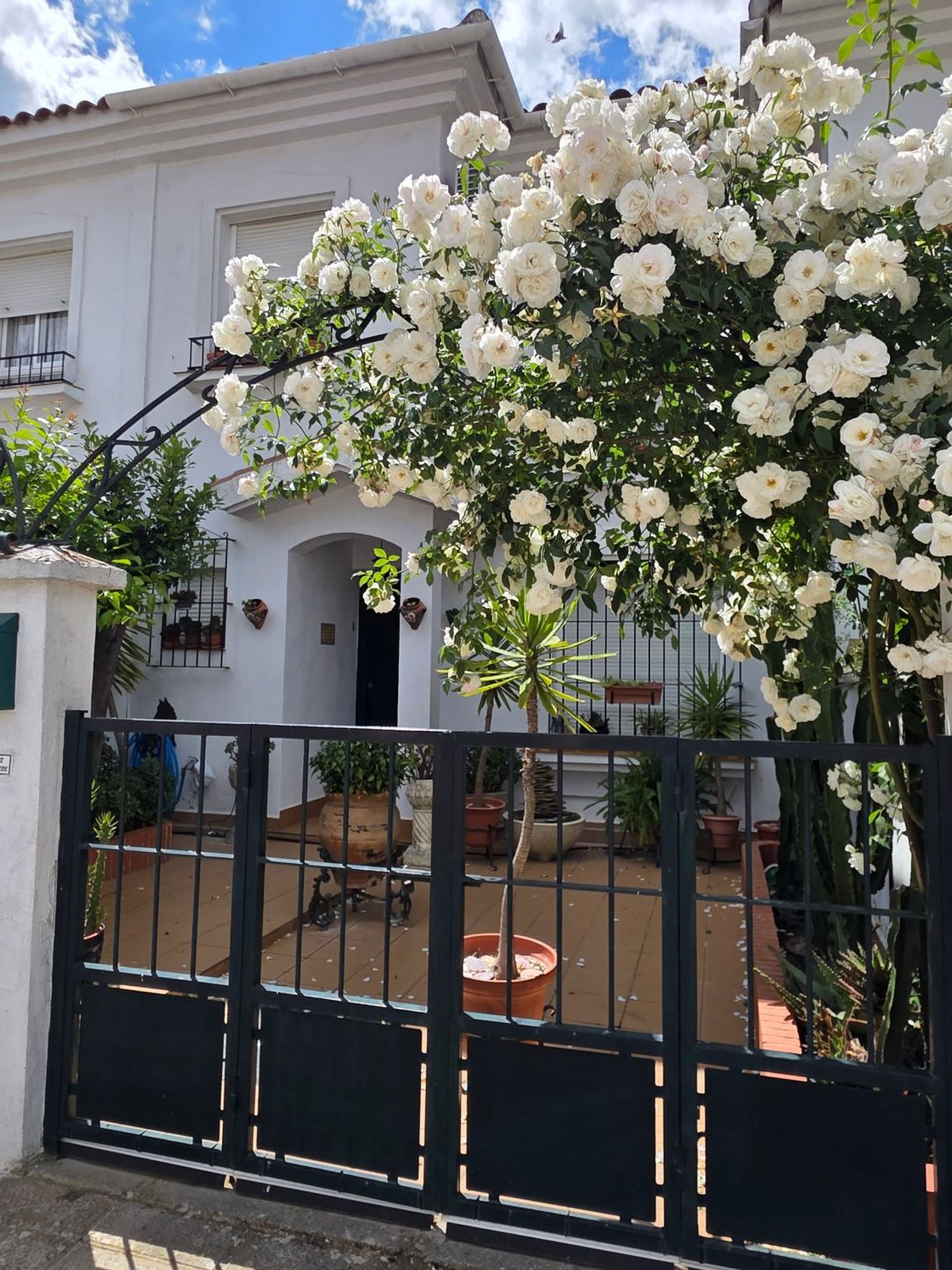 Chalet adosado en Calle Anís Cuatro Gatos, 3 - Foto 2
