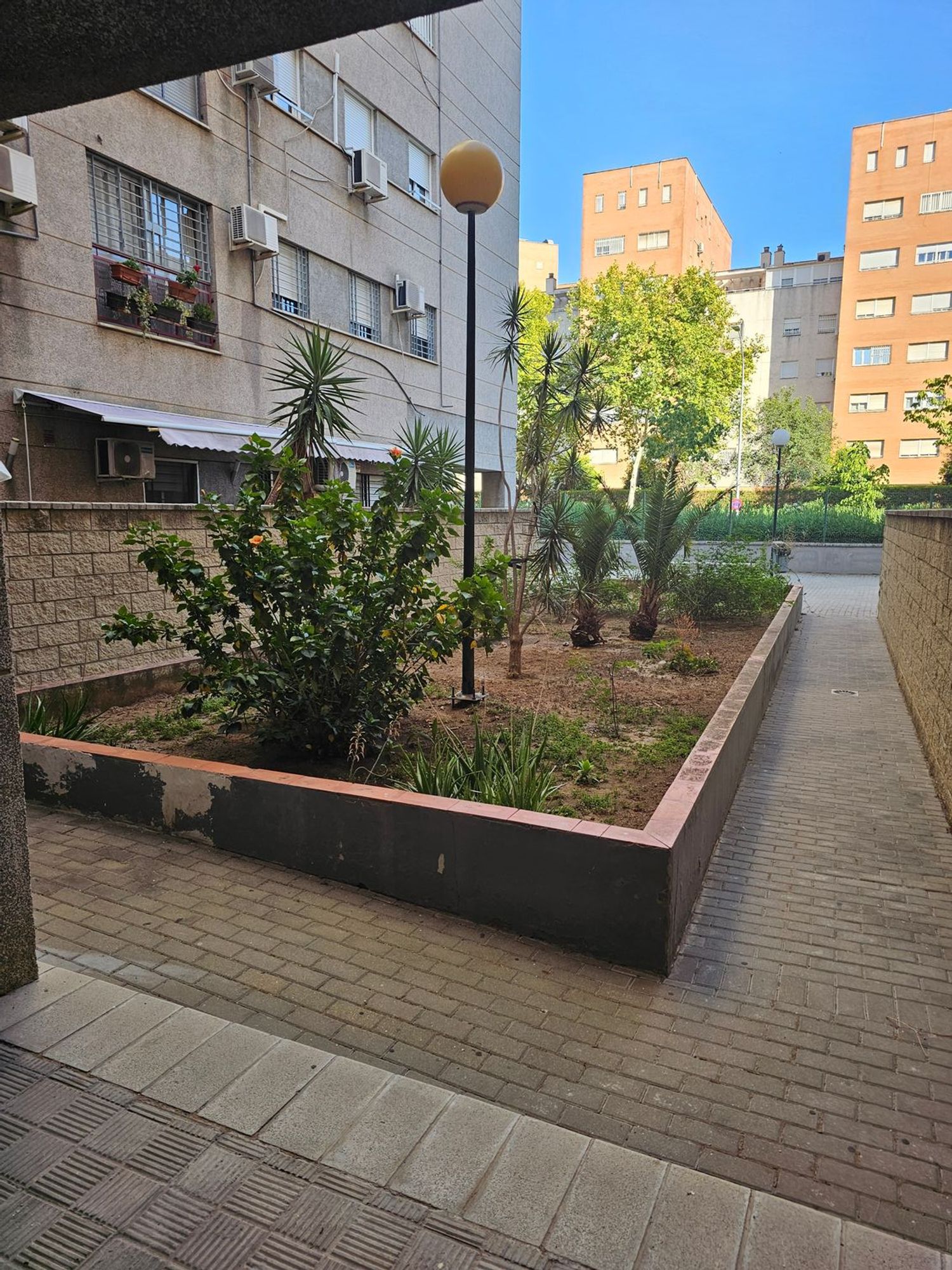 Piso en Calle Doctora Navarro Rodriguez, 6, Avenida de las Ciencias - Foto 3