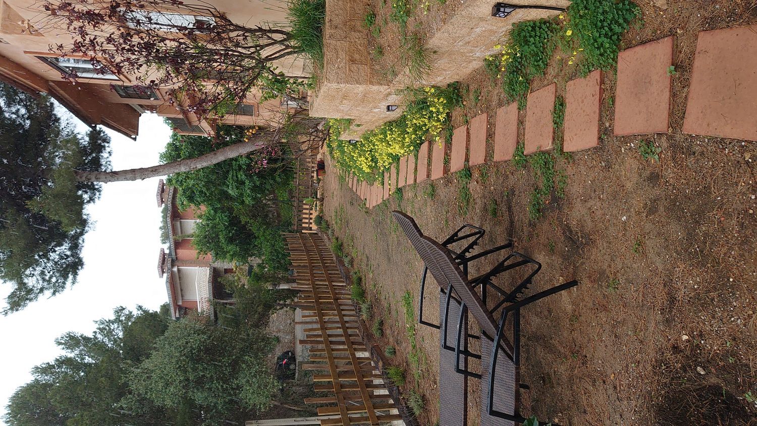 Estudio en alto del Pinar, 2 - Foto 4