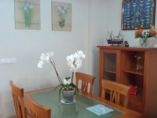 Piso en Calle Teodoro Llorente, 16, Campoamor - Foto 17