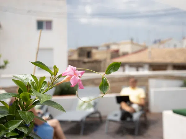 Piso en El Carme - Foto 33