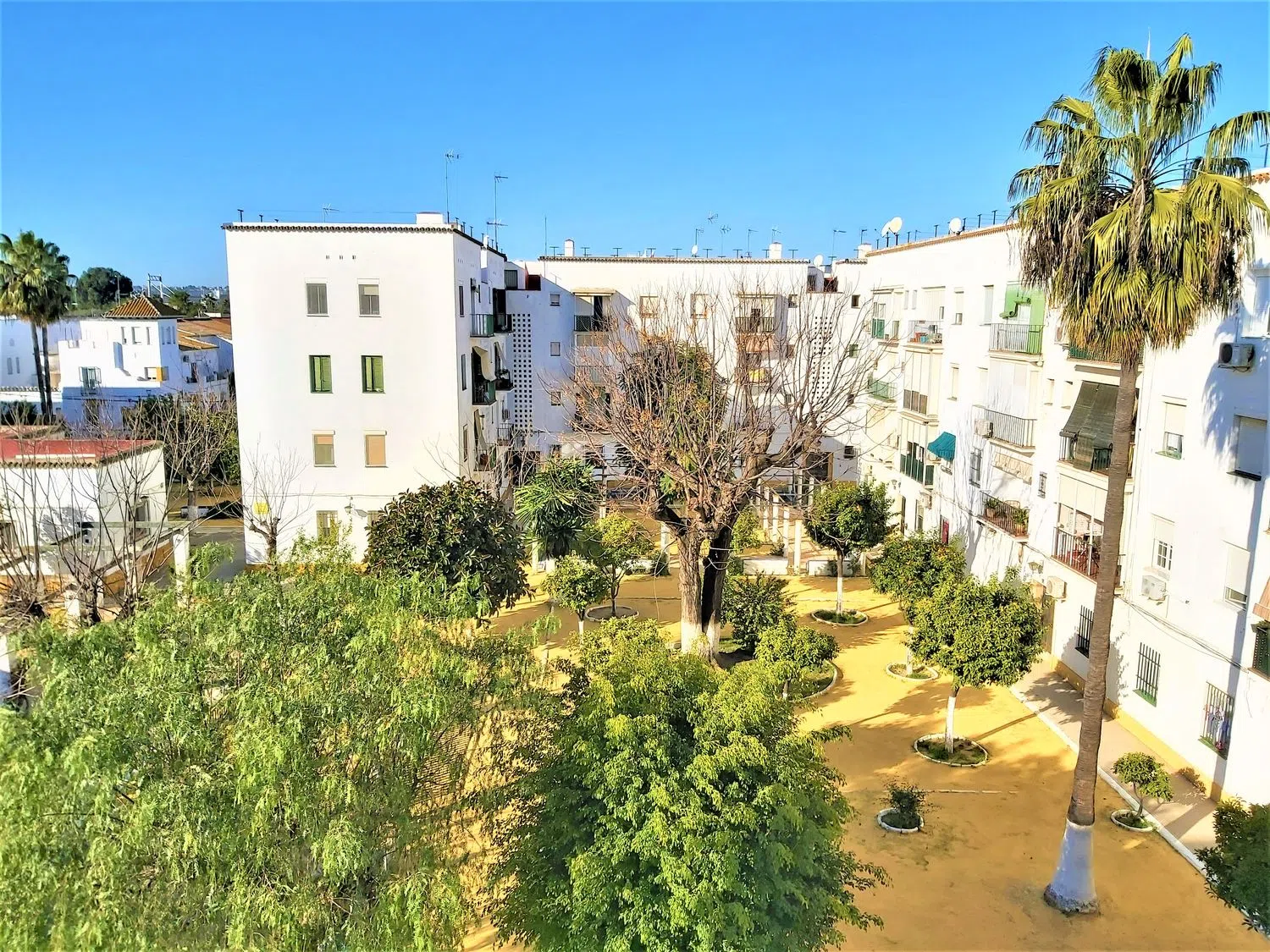 Piso en avenida de la Reina Mercedes, 58 - Foto 18