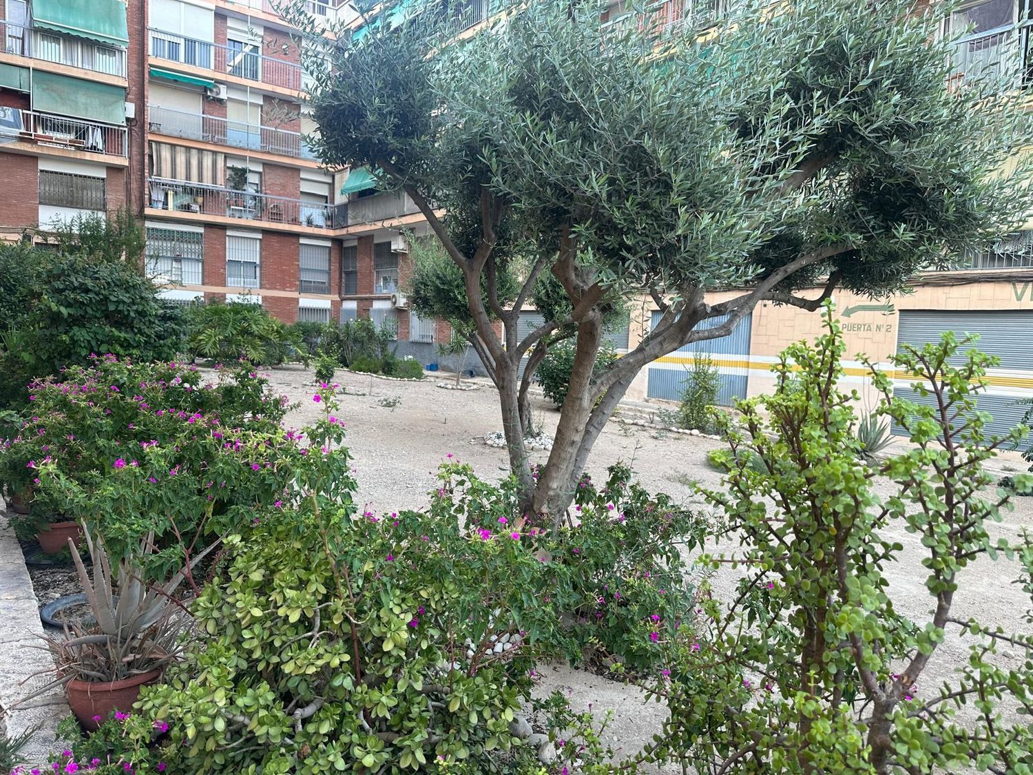 Piso en Campoamor, Campoamor - Foto 11