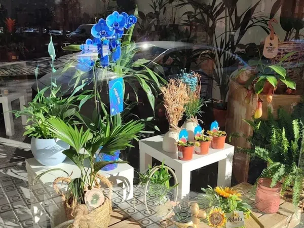 Local en Floristería en Eixample, Eixample - Foto 2