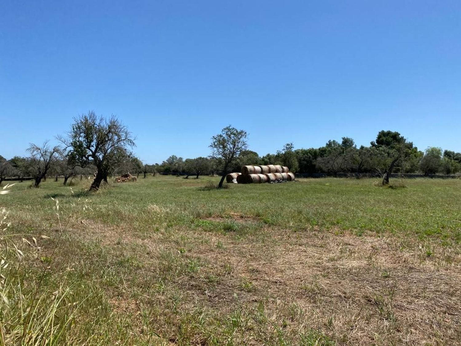 Finca rústica en Lugar Poligono 18, 9 - Foto 8