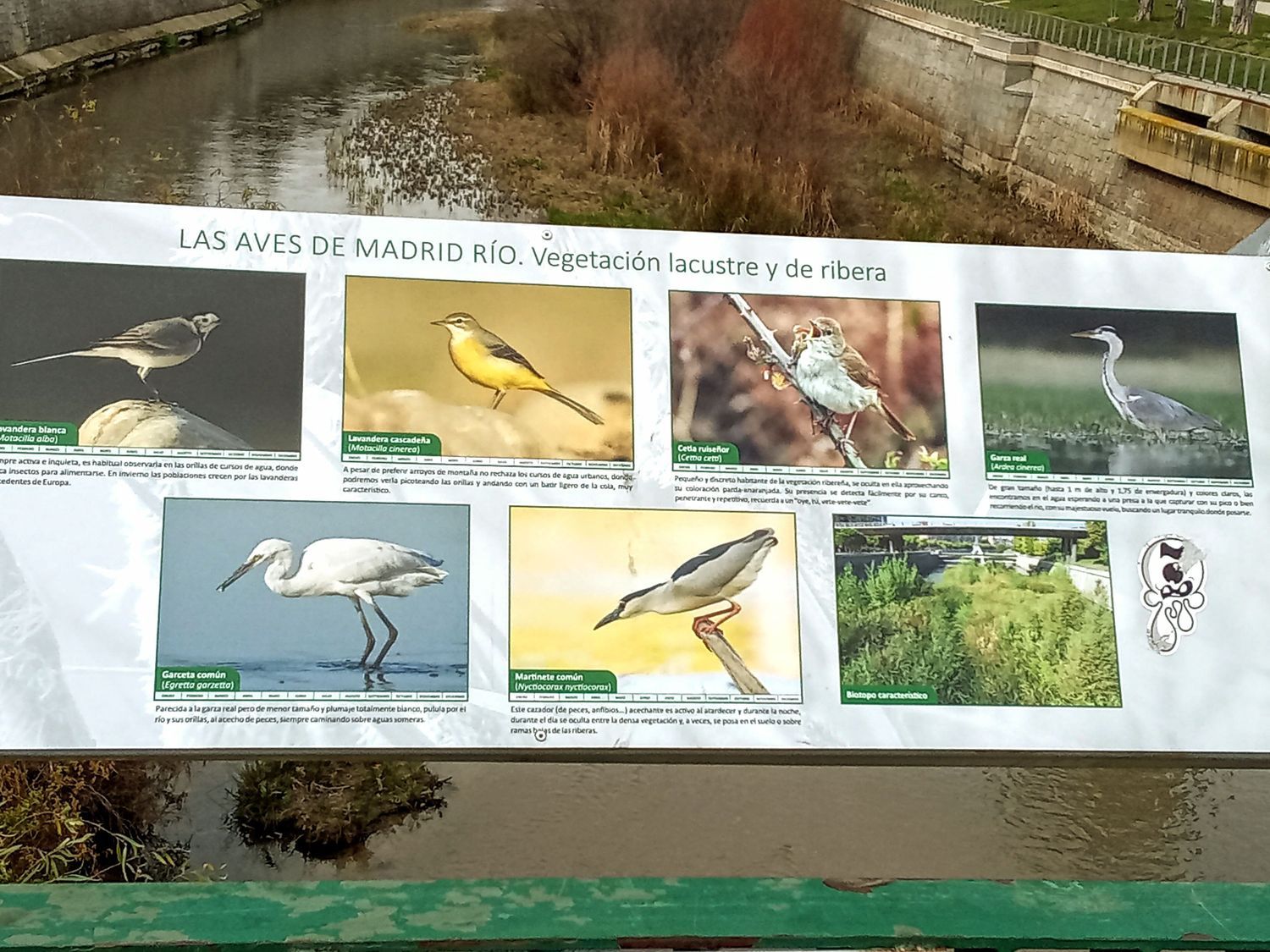 Piso en Vicente Martín Arias, 15 - Foto 10