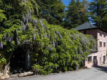 Chalet en Miraflores de la Sierra - Foto 1